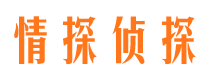 历城捉小三公司